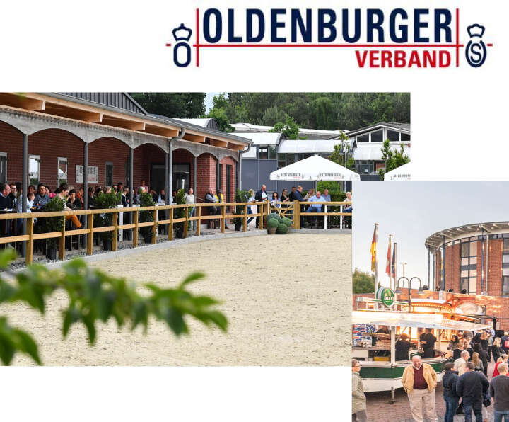 oldenburger verband pferdezucht derby community collage